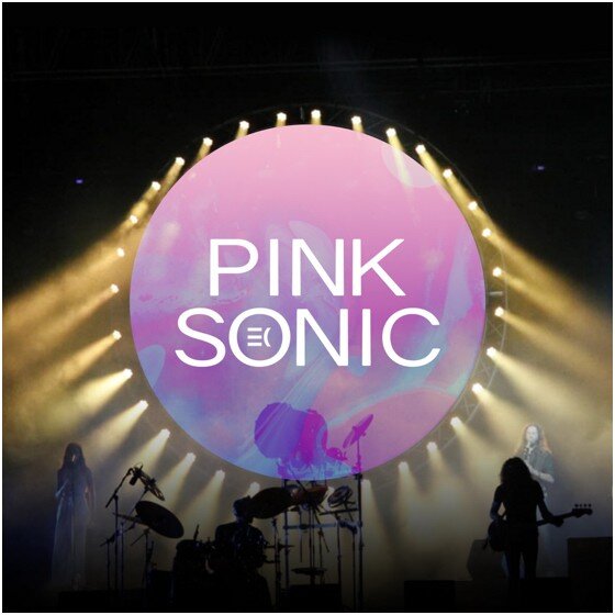 Pink Sonic | Tributo europeo Pink Floyd 